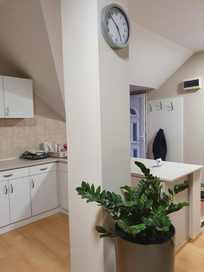 Bella Apartman セゲド エクステリア 写真